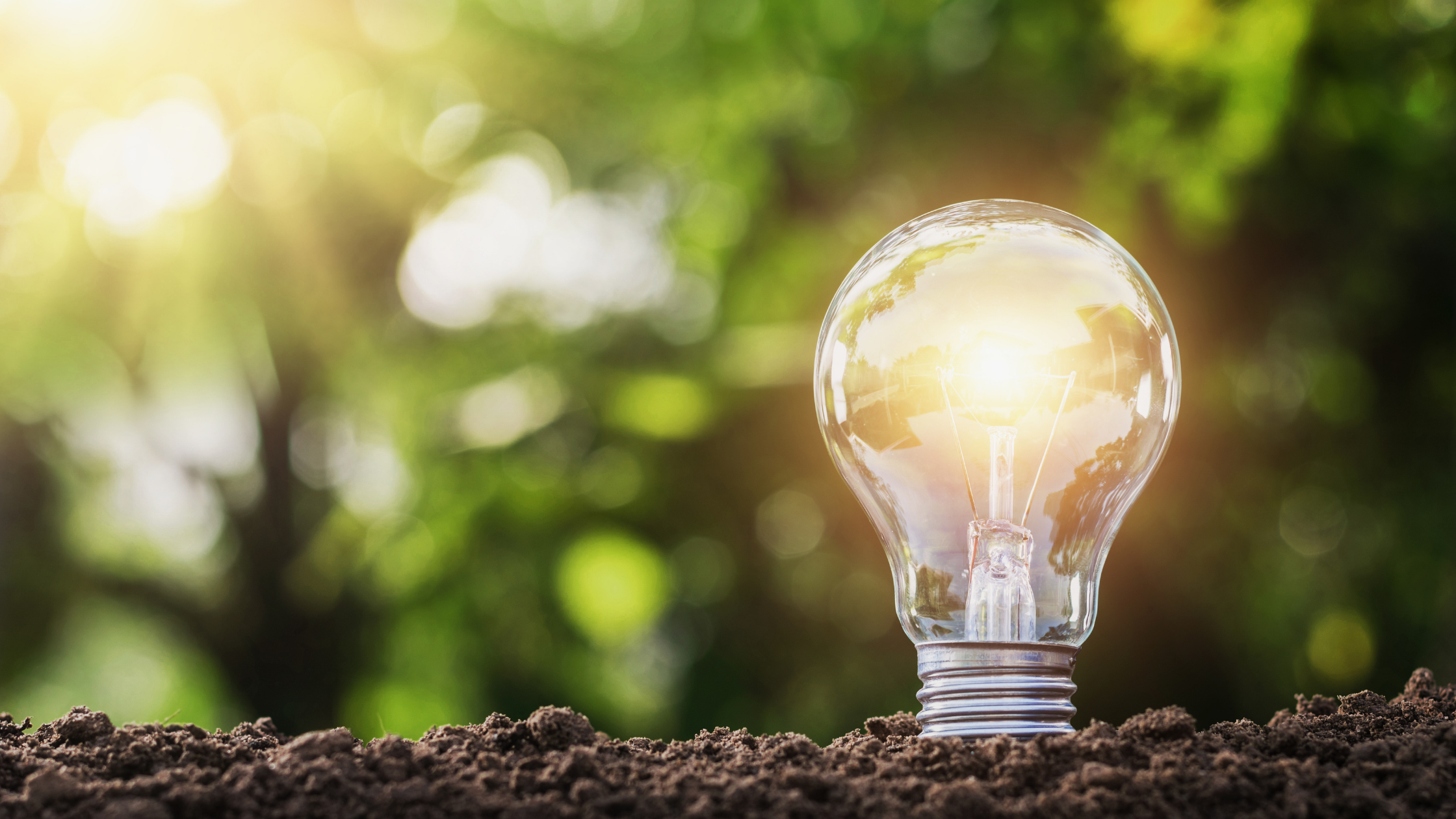 light bulb conserving energy