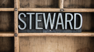 are you a good steward blog